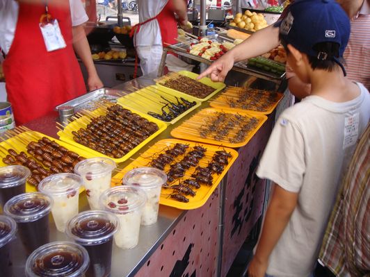 ���̉���