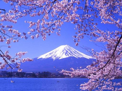 日本の富士山